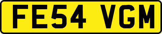 FE54VGM
