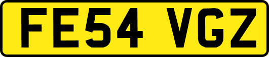 FE54VGZ