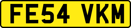 FE54VKM