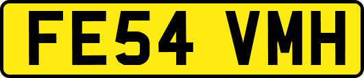 FE54VMH