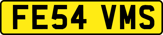 FE54VMS