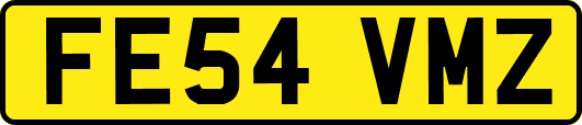 FE54VMZ