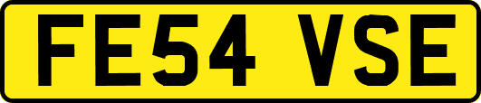 FE54VSE