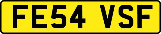 FE54VSF