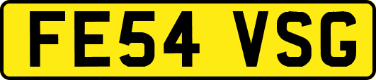 FE54VSG