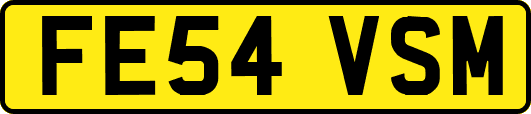 FE54VSM