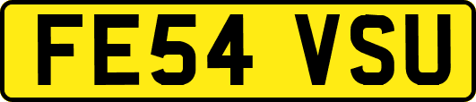 FE54VSU