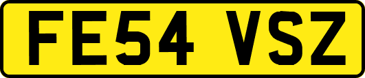 FE54VSZ