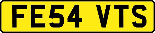 FE54VTS