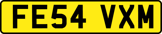 FE54VXM