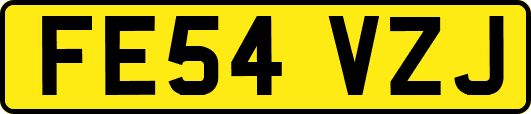 FE54VZJ