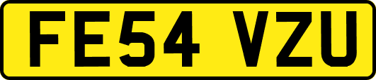 FE54VZU