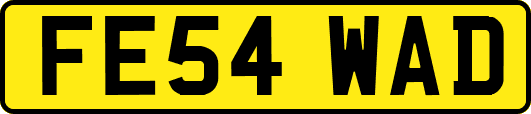FE54WAD