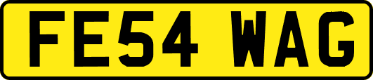 FE54WAG