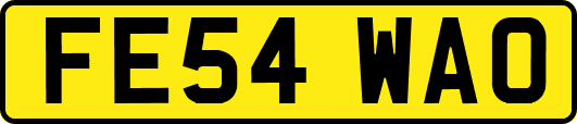 FE54WAO