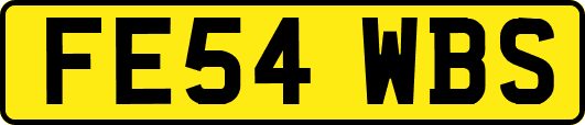 FE54WBS
