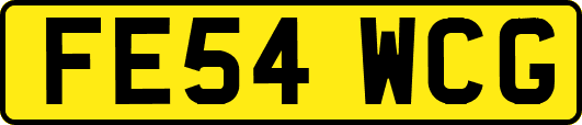 FE54WCG