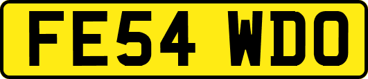 FE54WDO
