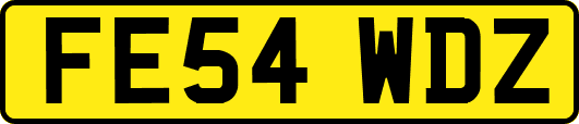 FE54WDZ