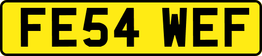 FE54WEF