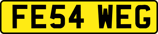 FE54WEG