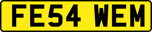 FE54WEM
