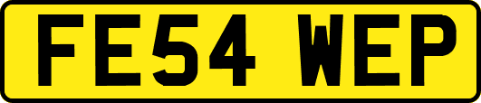 FE54WEP
