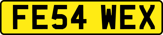 FE54WEX