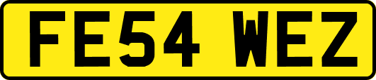 FE54WEZ