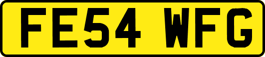 FE54WFG