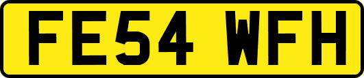 FE54WFH