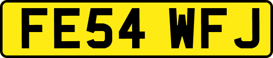 FE54WFJ