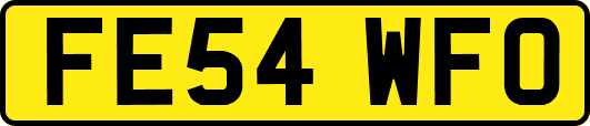 FE54WFO