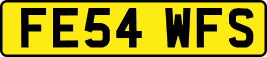FE54WFS