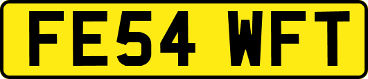 FE54WFT