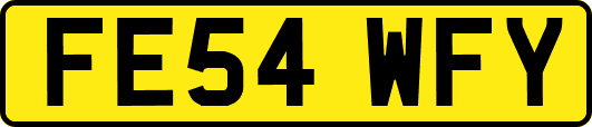 FE54WFY