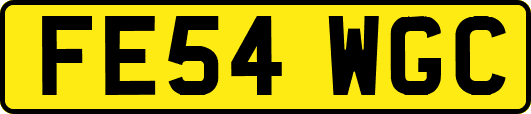 FE54WGC