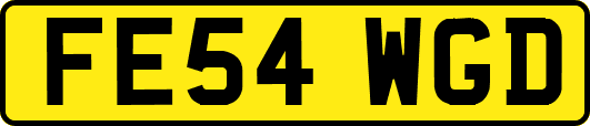 FE54WGD