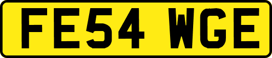 FE54WGE