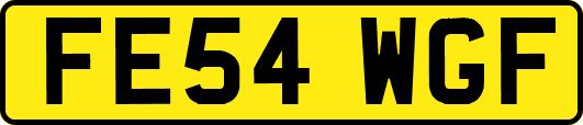 FE54WGF
