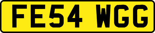 FE54WGG