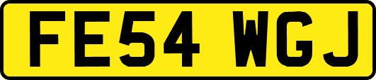 FE54WGJ