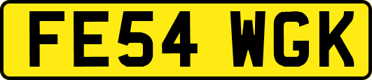 FE54WGK