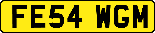 FE54WGM