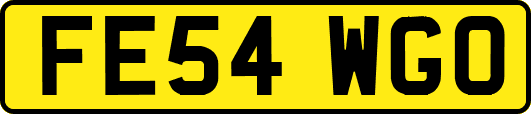 FE54WGO
