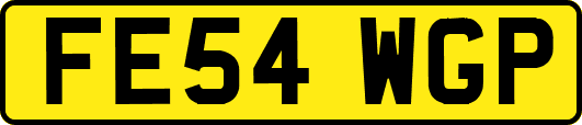 FE54WGP
