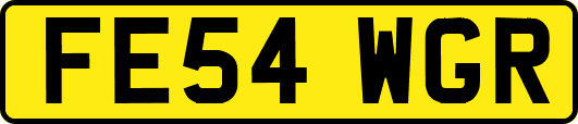 FE54WGR