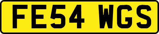 FE54WGS