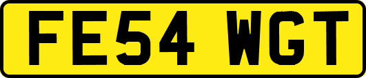 FE54WGT