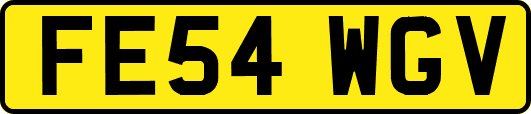 FE54WGV